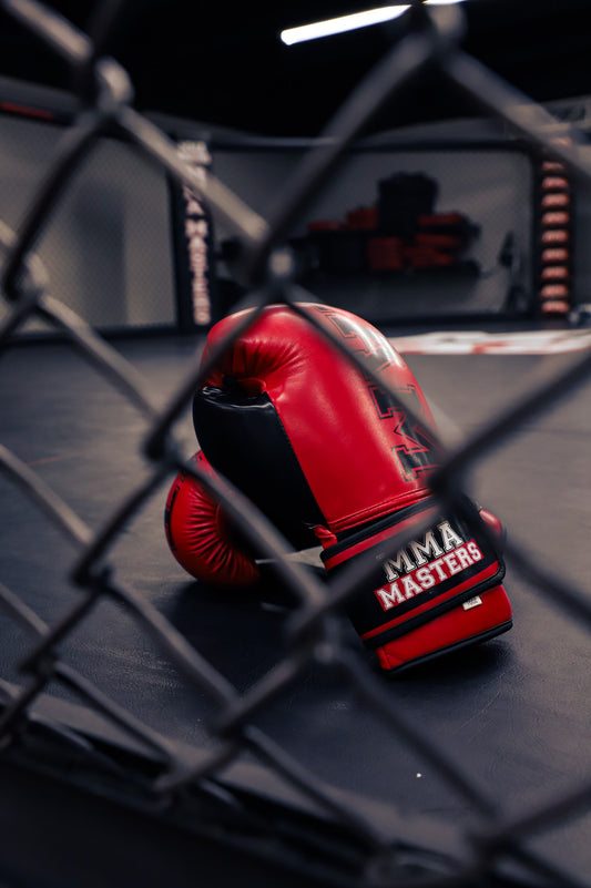MMA MASTERS Boxing Gloves